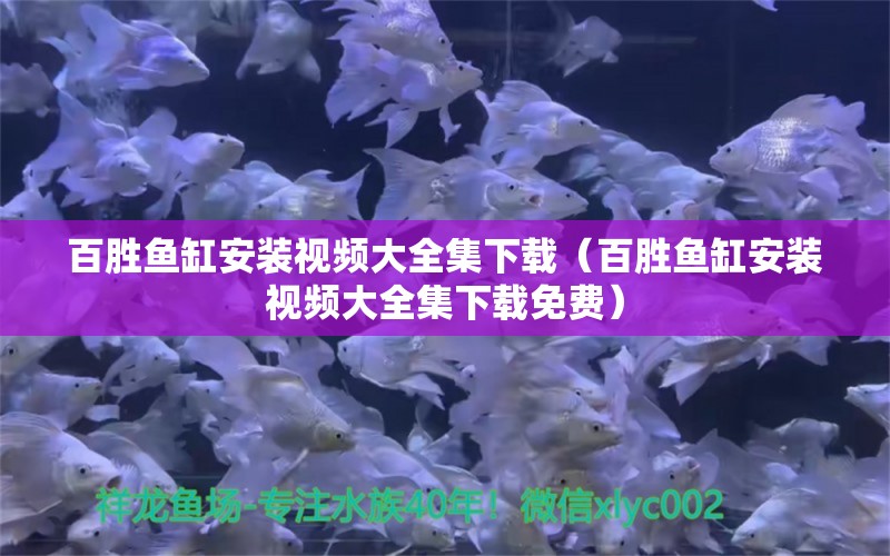 百胜鱼缸安装视频大全集下载（百胜鱼缸安装视频大全集下载免费） 巨骨舌鱼