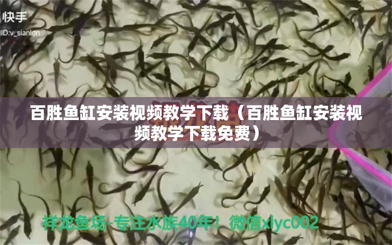 百胜鱼缸安装视频教学下载（百胜鱼缸安装视频教学下载免费）