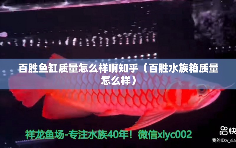 百胜鱼缸质量怎么样啊知乎（百胜水族箱质量怎么样）