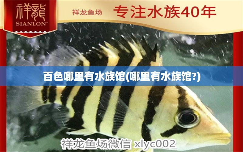 百色哪里有水族馆(哪里有水族馆?)