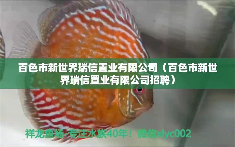 百色市新世界瑞信置业有限公司（百色市新世界瑞信置业有限公司招聘）