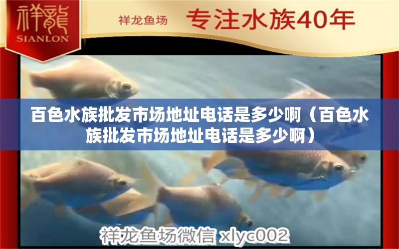 百色水族批发市场地址电话是多少啊（百色水族批发市场地址电话是多少啊）