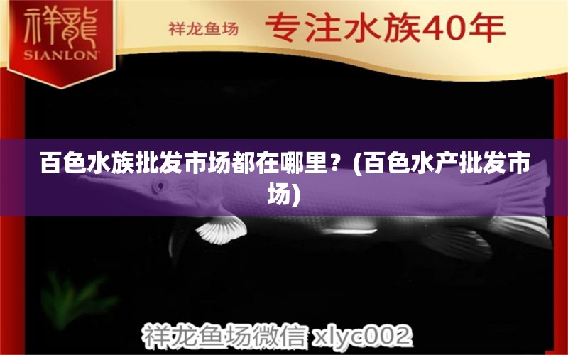 百色水族批发市场都在哪里？(百色水产批发市场) 观赏鱼水族批发市场