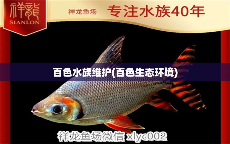 百色水族维护(百色生态环境) 森森鱼缸