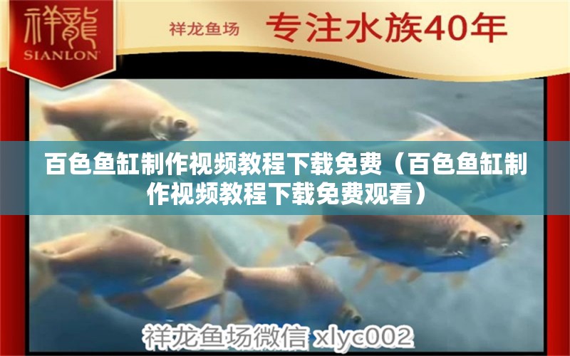 百色鱼缸制作视频教程下载免费（百色鱼缸制作视频教程下载免费观看）