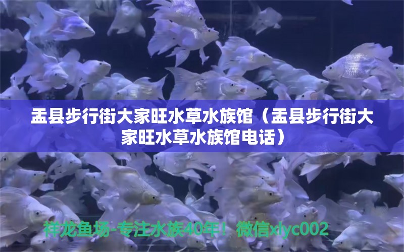 盂县步行街大家旺水草水族馆（盂县步行街大家旺水草水族馆电话）