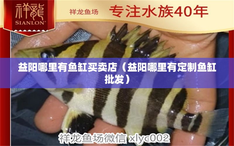 益阳哪里有鱼缸买卖店（益阳哪里有定制鱼缸批发） 祥龙水族医院