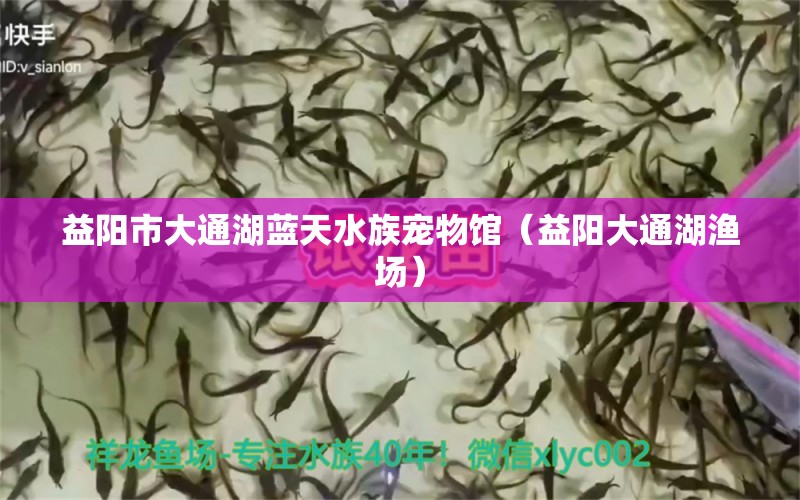 益阳市大通湖蓝天水族宠物馆（益阳大通湖渔场）