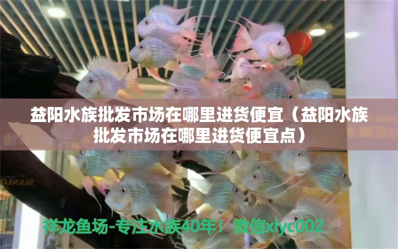 益阳水族批发市场在哪里进货便宜（益阳水族批发市场在哪里进货便宜点）