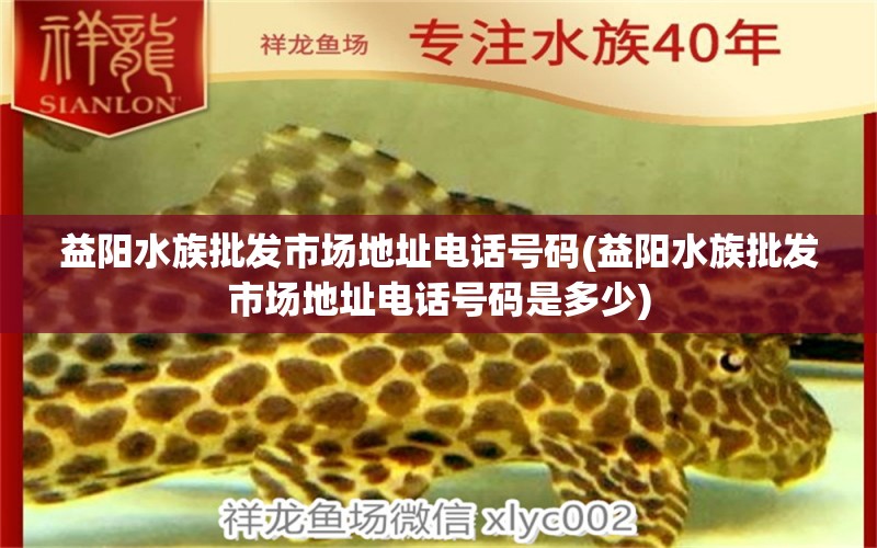 益阳水族批发市场地址电话号码(益阳水族批发市场地址电话号码是多少) 观赏鱼水族批发市场