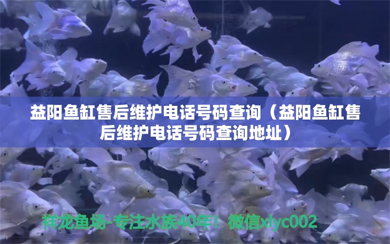 益阳鱼缸售后维护电话号码查询（益阳鱼缸售后维护电话号码查询地址）