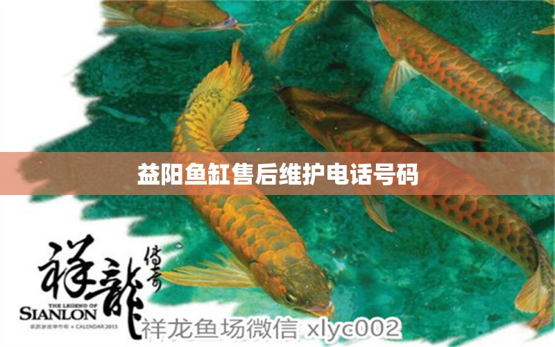 益阳鱼缸售后维护电话号码 其他品牌鱼缸