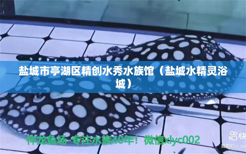 盐城市亭湖区精创水秀水族馆（盐城水精灵浴城）