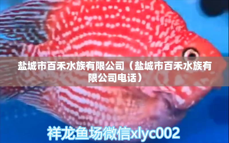 盐城市百禾水族有限公司（盐城市百禾水族有限公司电话） 全国水族馆企业名录