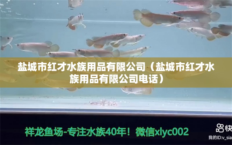 盐城市红才水族用品有限公司（盐城市红才水族用品有限公司电话）