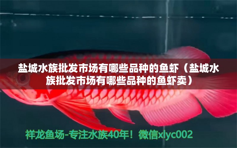 盐城水族批发市场有哪些品种的鱼虾（盐城水族批发市场有哪些品种的鱼虾卖）