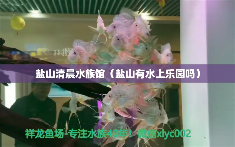 盐山清晨水族馆（盐山有水上乐园吗） 全国水族馆企业名录