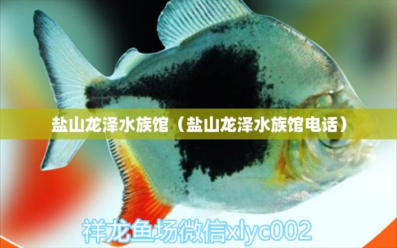 盐山龙泽水族馆（盐山龙泽水族馆电话）