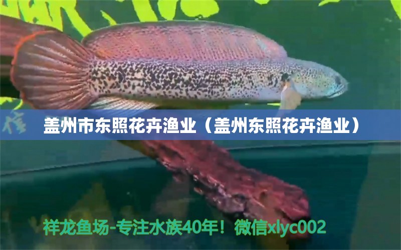 盖州市东照花卉渔业（盖州东照花卉渔业） 水族周边 第1张