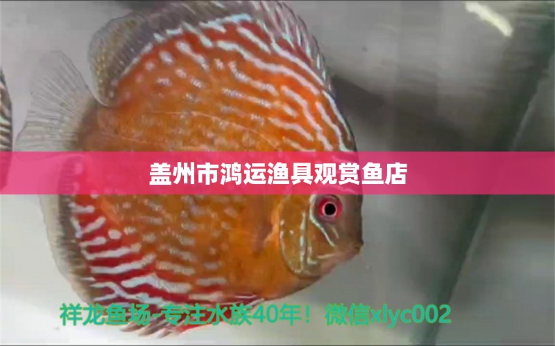 盖州市鸿运渔具观赏鱼店 全国水族馆企业名录