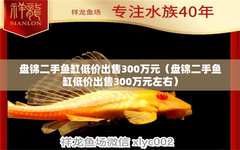 盘锦二手鱼缸低价出售300万元（盘锦二手鱼缸低价出售300万元左右） 观赏鱼市场（混养鱼）