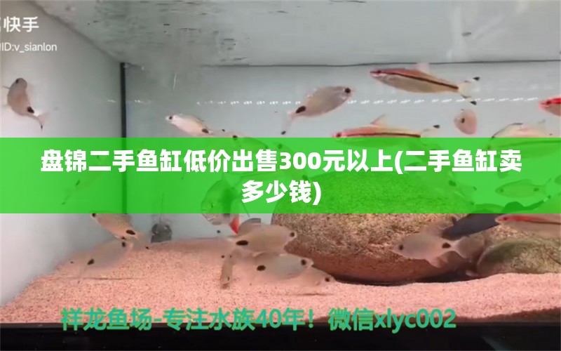 盘锦二手鱼缸低价出售300元以上(二手鱼缸卖多少钱) 海象鱼