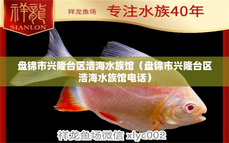 盘锦市兴隆台区浩海水族馆（盘锦市兴隆台区浩海水族馆电话） 全国水族馆企业名录