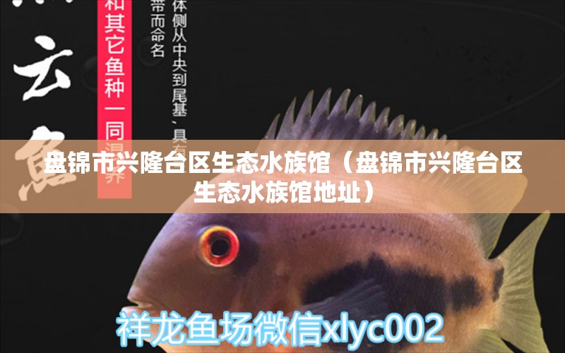 盘锦市兴隆台区生态水族馆（盘锦市兴隆台区生态水族馆地址） 全国水族馆企业名录