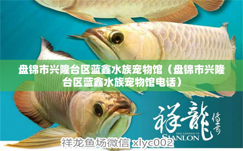 盘锦市兴隆台区蓝鑫水族宠物馆（盘锦市兴隆台区蓝鑫水族宠物馆电话） 全国水族馆企业名录