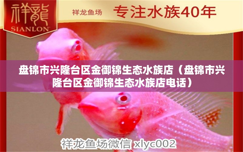 盘锦市兴隆台区金御锦生态水族店（盘锦市兴隆台区金御锦生态水族店电话） 全国水族馆企业名录