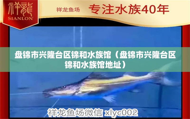 盘锦市兴隆台区锦和水族馆（盘锦市兴隆台区锦和水族馆地址） 全国水族馆企业名录