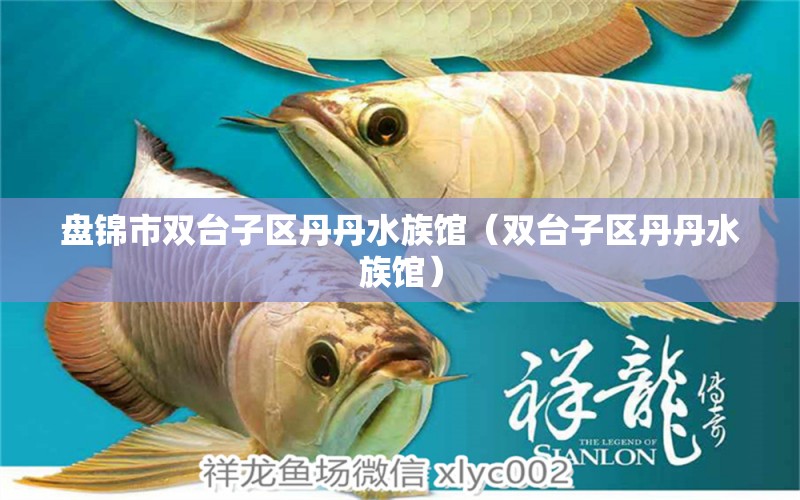 盘锦市双台子区丹丹水族馆（双台子区丹丹水族馆） 全国观赏鱼市场 第2张