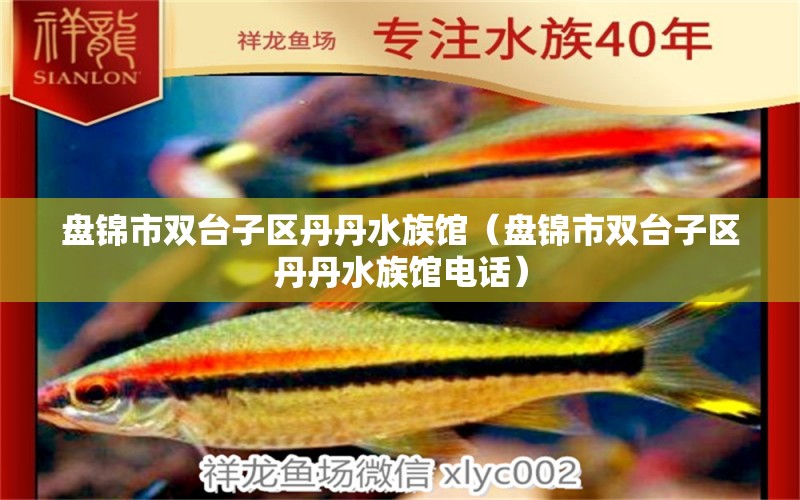 盘锦市双台子区丹丹水族馆（盘锦市双台子区丹丹水族馆电话）