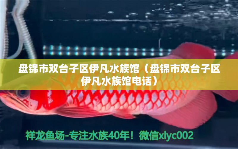 盘锦市双台子区伊凡水族馆（盘锦市双台子区伊凡水族馆电话）