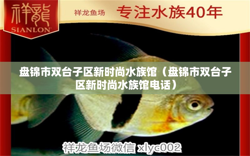 盘锦市双台子区新时尚水族馆（盘锦市双台子区新时尚水族馆电话）