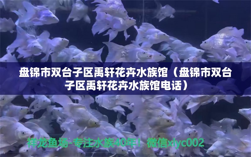 盘锦市双台子区禹轩花卉水族馆（盘锦市双台子区禹轩花卉水族馆电话）