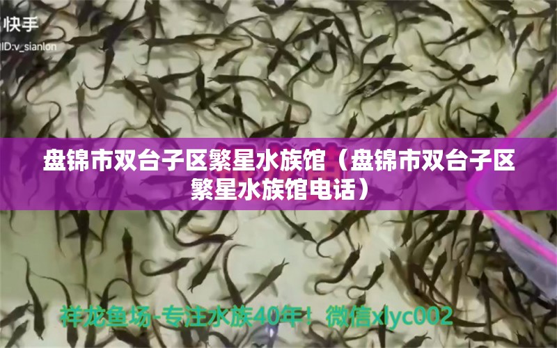 盘锦市双台子区繁星水族馆（盘锦市双台子区繁星水族馆电话） 全国水族馆企业名录