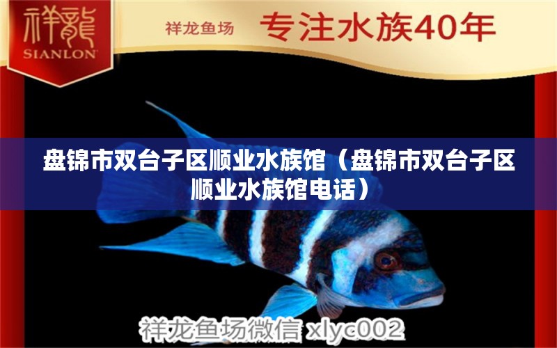 盘锦市双台子区顺业水族馆（盘锦市双台子区顺业水族馆电话）