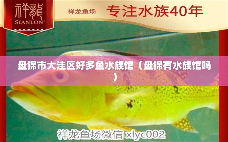 盘锦市大洼区好多鱼水族馆（盘锦有水族馆吗） 全国水族馆企业名录