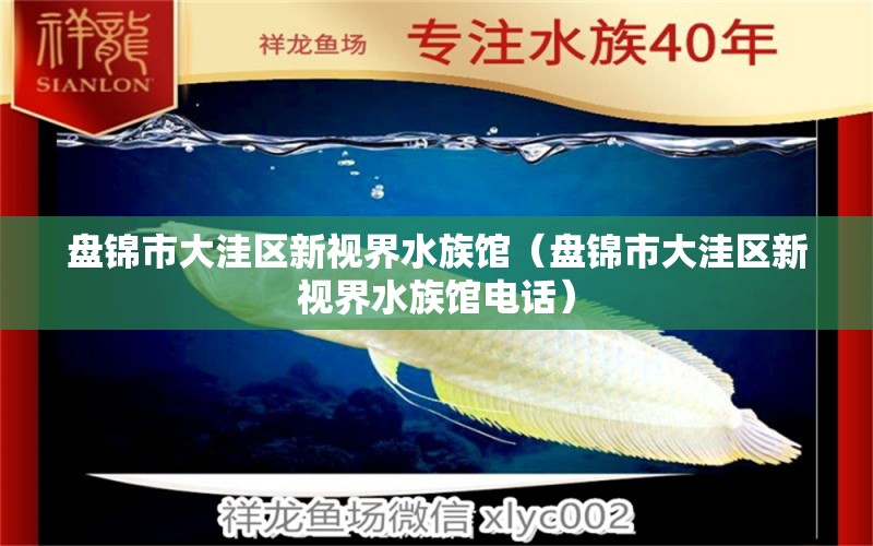 盘锦市大洼区新视界水族馆（盘锦市大洼区新视界水族馆电话）