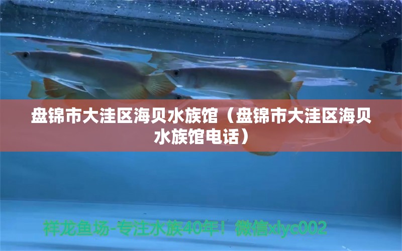 盘锦市大洼区海贝水族馆（盘锦市大洼区海贝水族馆电话）