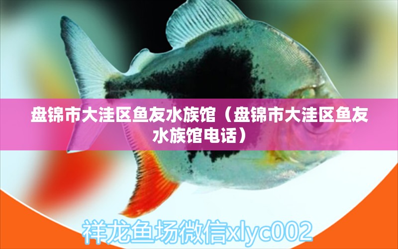 盘锦市大洼区鱼友水族馆（盘锦市大洼区鱼友水族馆电话） 全国水族馆企业名录