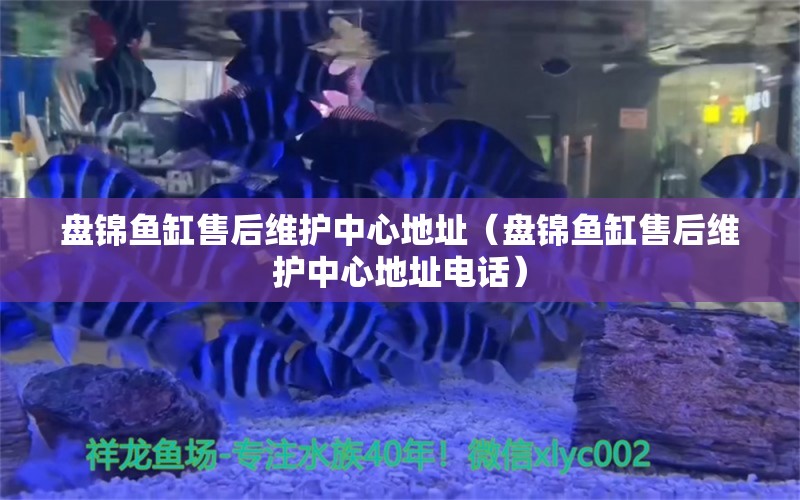 盘锦鱼缸售后维护中心地址（盘锦鱼缸售后维护中心地址电话）