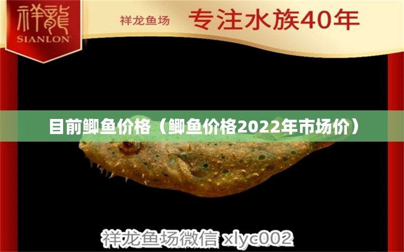 目前鲫鱼价格（鲫鱼价格2022年市场价）