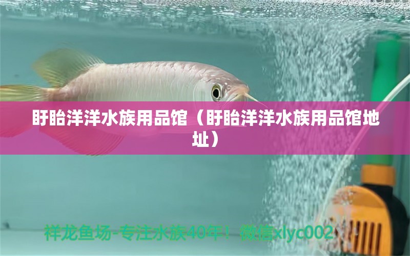 盱眙洋洋水族用品馆（盱眙洋洋水族用品馆地址）