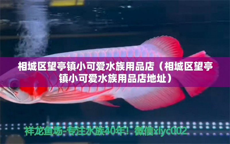 相城区望亭镇小可爱水族用品店（相城区望亭镇小可爱水族用品店地址）