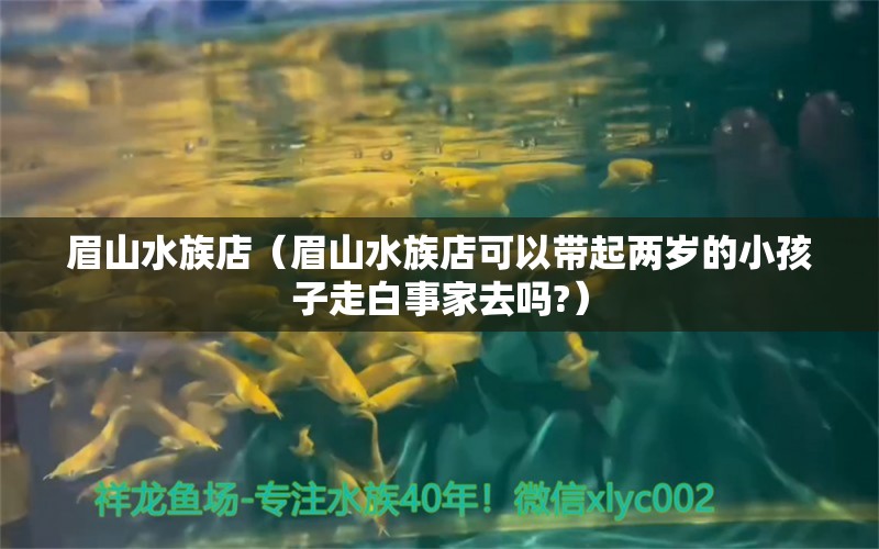 眉山水族店（眉山水族店可以带起两岁的小孩子走白事家去吗?）