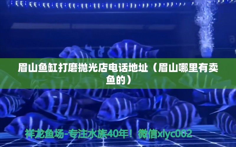 眉山鱼缸打磨抛光店电话地址（眉山哪里有卖鱼的） 委内瑞拉奥里诺三间鱼苗