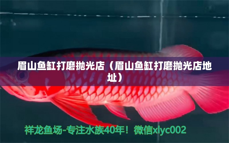 眉山鱼缸打磨抛光店（眉山鱼缸打磨抛光店地址） 水族维护服务（上门）