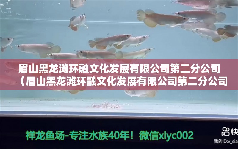 眉山黑龙滩环融文化发展有限公司第二分公司（眉山黑龙滩环融文化发展有限公司第二分公司招聘）